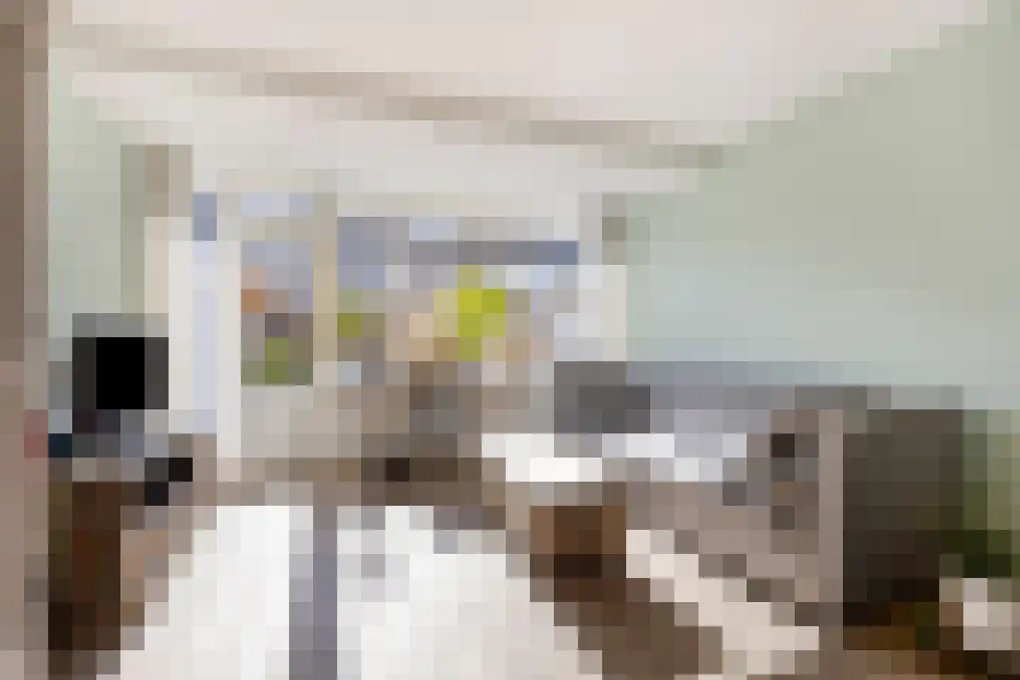 G.R. van Kinschotstraat 19 Oudewater thumbnail 4