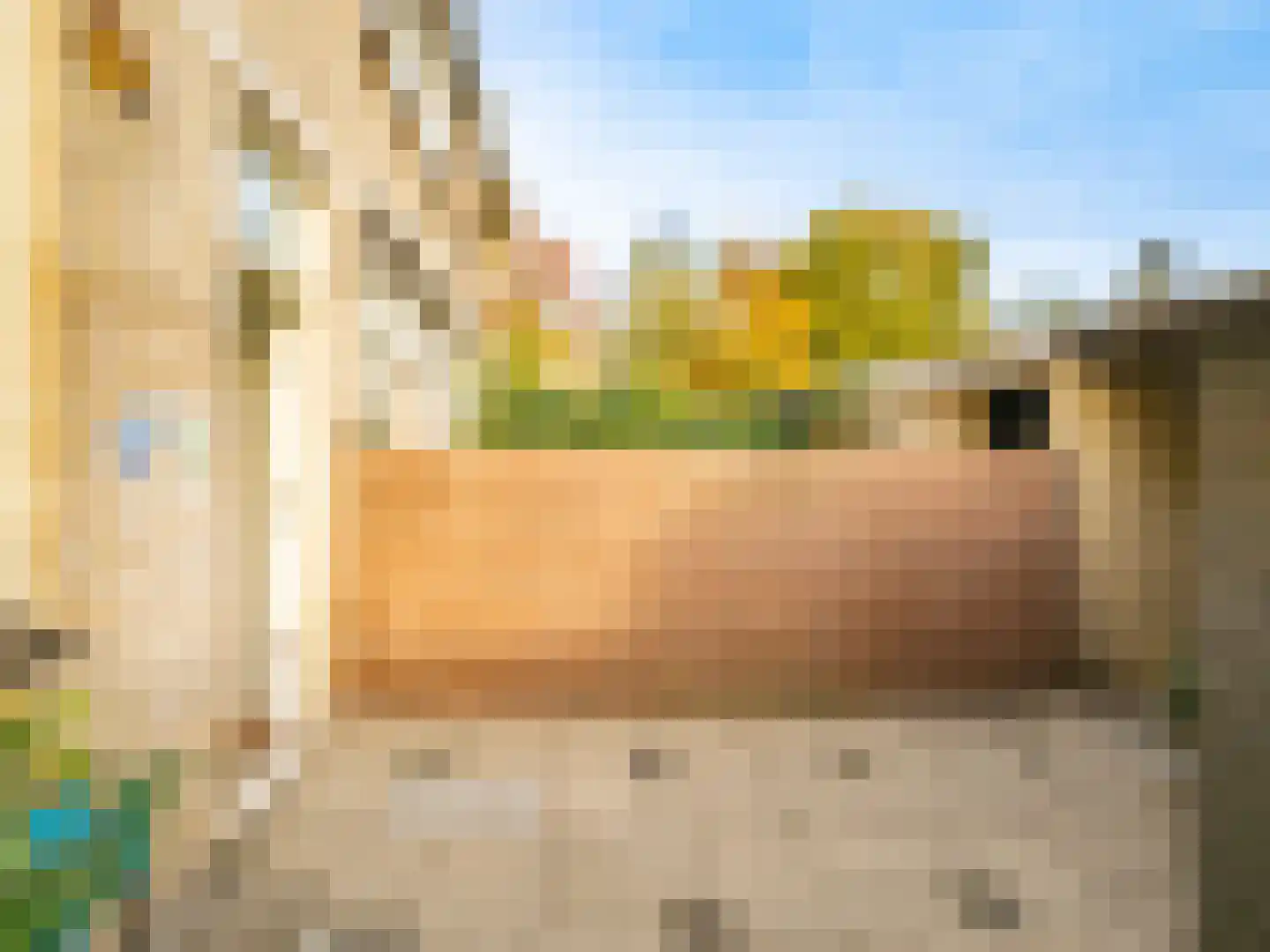 G.R. van Kinschotstraat 23 Oudewater thumbnail 53