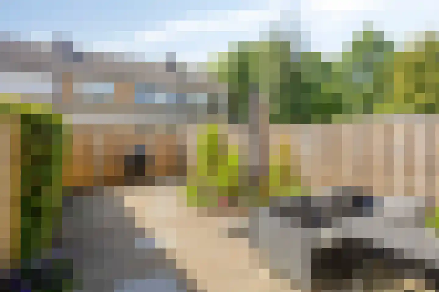 G.R. van Kinschotstraat 37 Oudewater thumbnail 10
