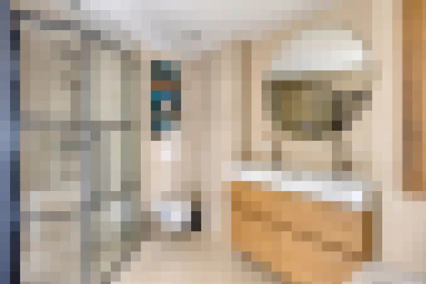 G.R. van Kinschotstraat 37 Oudewater thumbnail 19