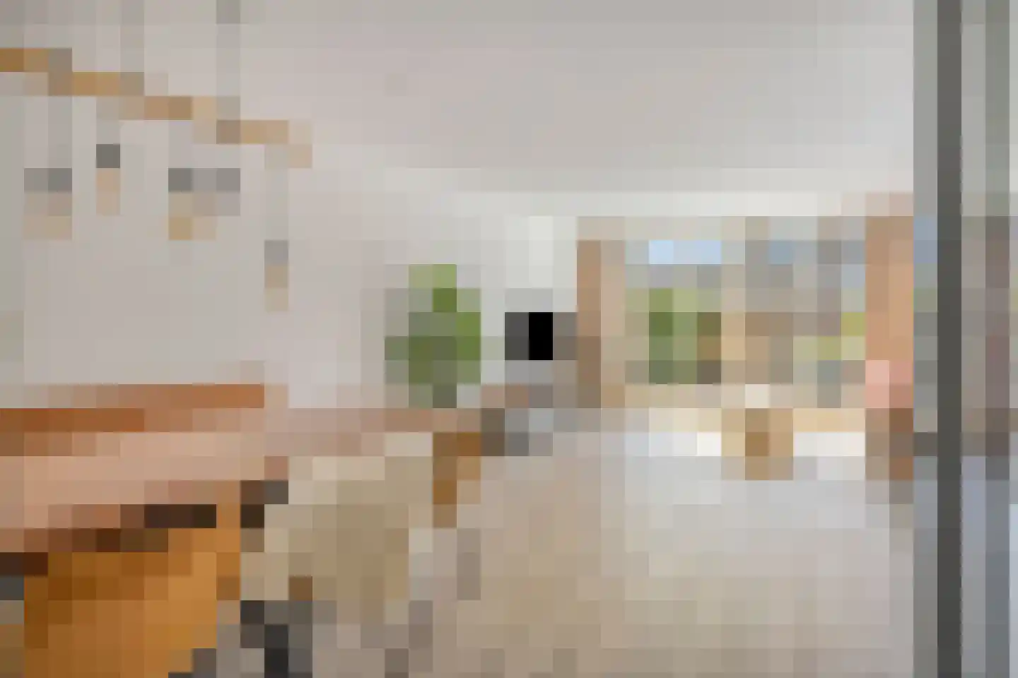 G.R. van Kinschotstraat 37 Oudewater thumbnail 9