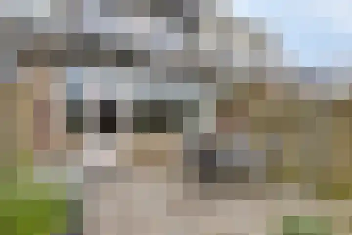 G.R. van Kinschotstraat 5 Oudewater thumbnail 17