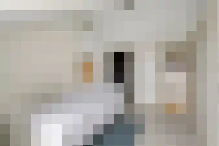 G.R. van Kinschotstraat 5 Oudewater thumbnail 35