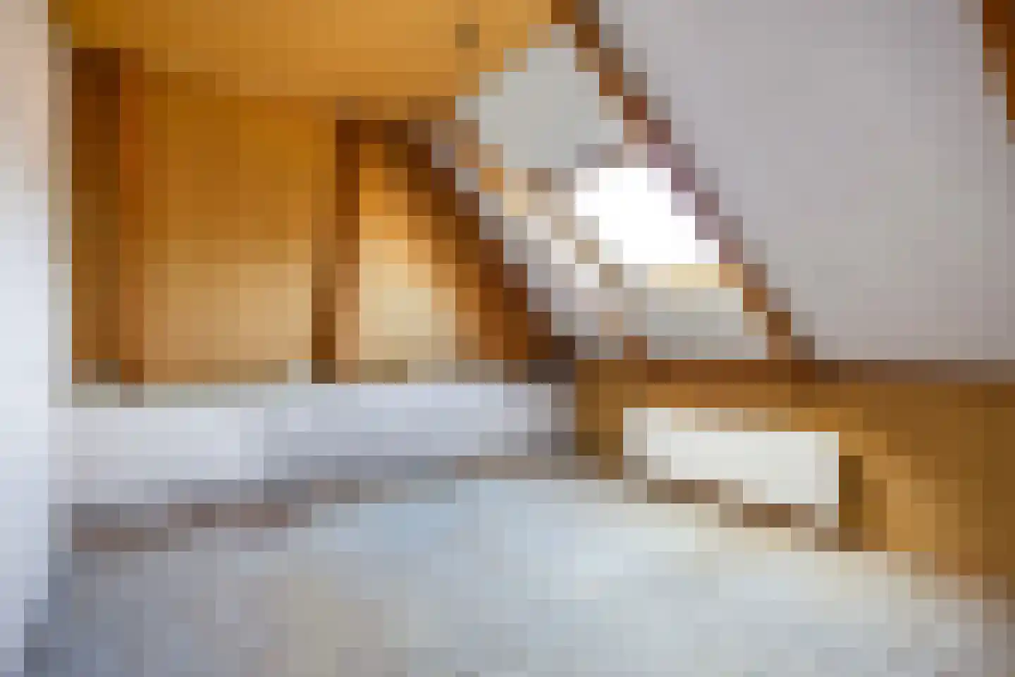 G. Redekerstraat 12 Wehe-den Hoorn thumbnail 32