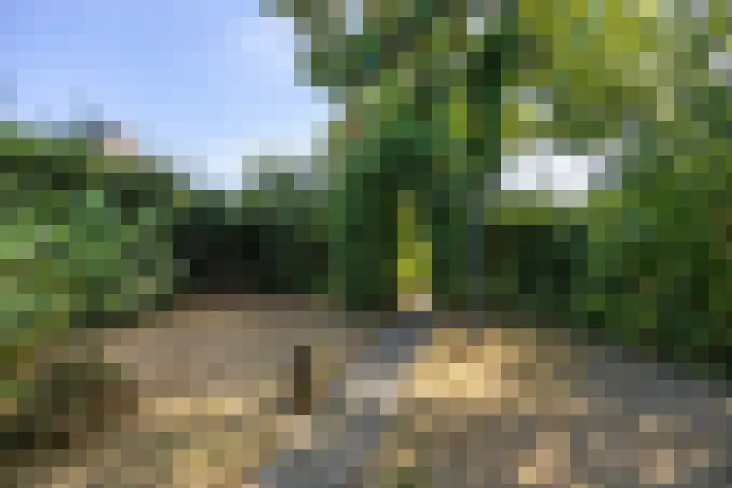 G. Redekerstraat 12 Wehe-den Hoorn thumbnail 52
