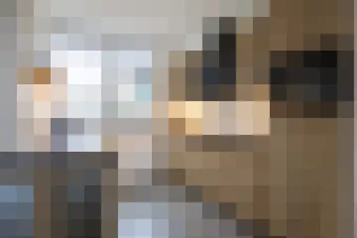 G.S. Ruiterstrjitte 26 Akkrum thumbnail 14