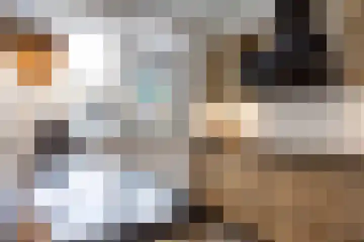 G.S. Ruiterstrjitte 26 Akkrum thumbnail 15