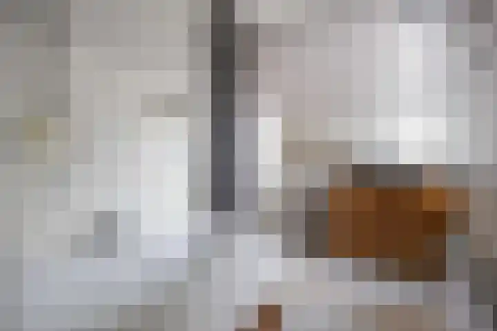G.S. Ruiterstrjitte 26 Akkrum thumbnail 27
