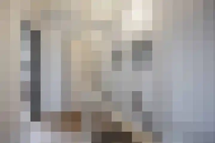 G.S. Ruiterstrjitte 26 Akkrum thumbnail 30