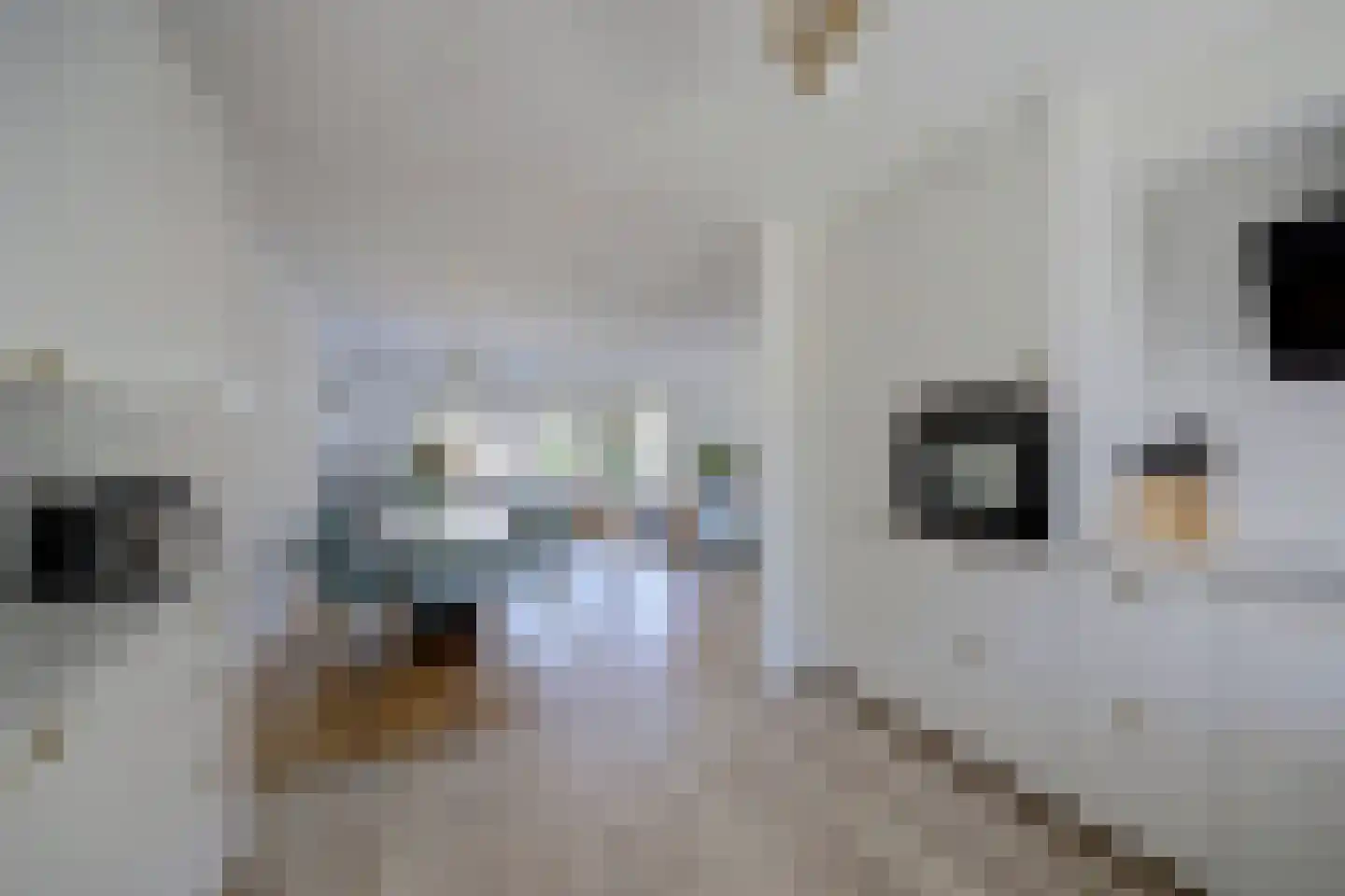 G.T. Rietveldstraat 42 Almere thumbnail 15