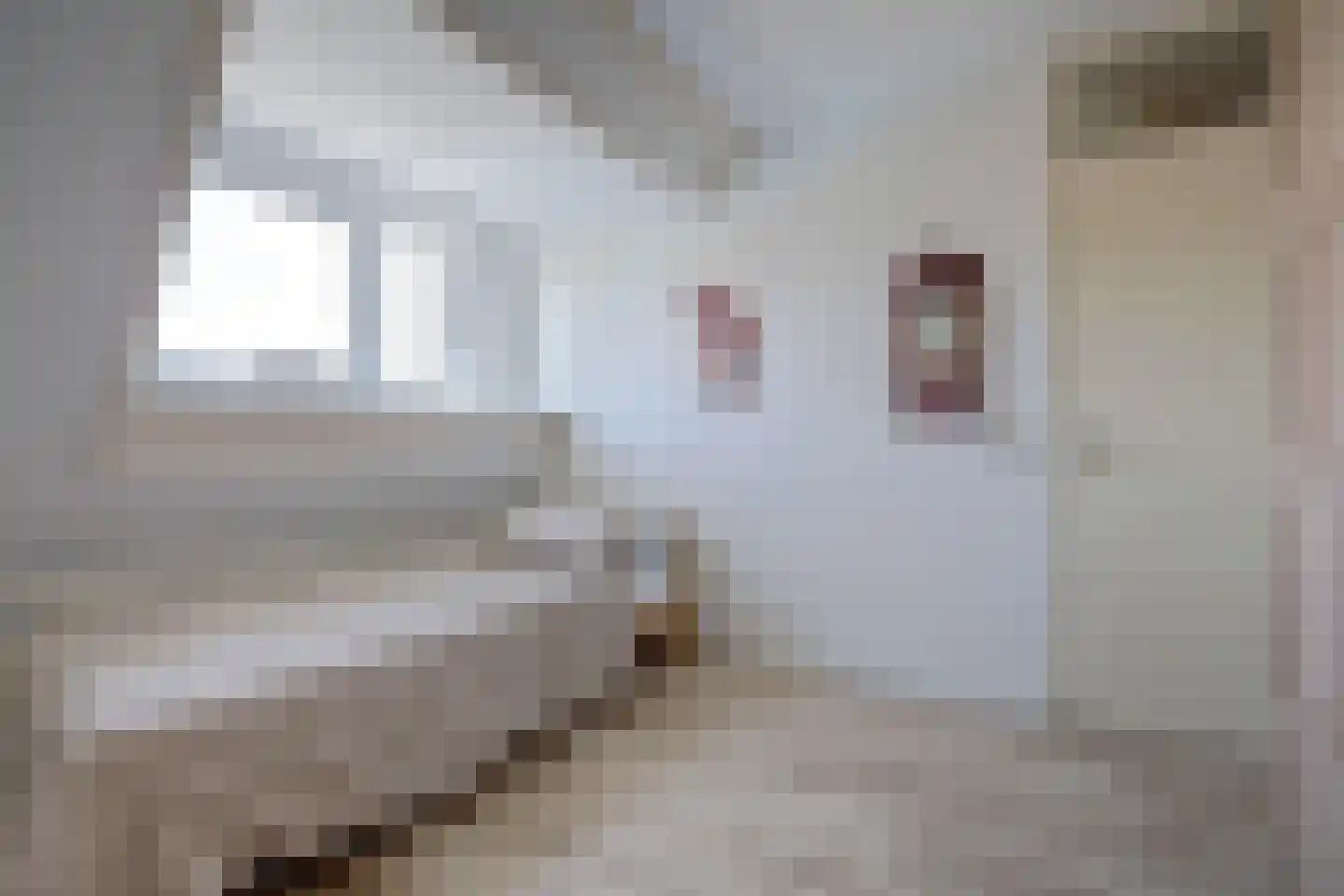 G.T. Rietveldstraat 42 Almere thumbnail 23