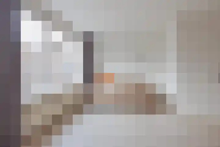 G. van Balenstraat 11 Raamsdonksveer thumbnail 13
