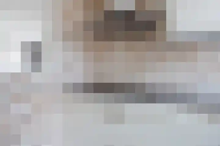 G. van Balenstraat 11 Raamsdonksveer thumbnail 18
