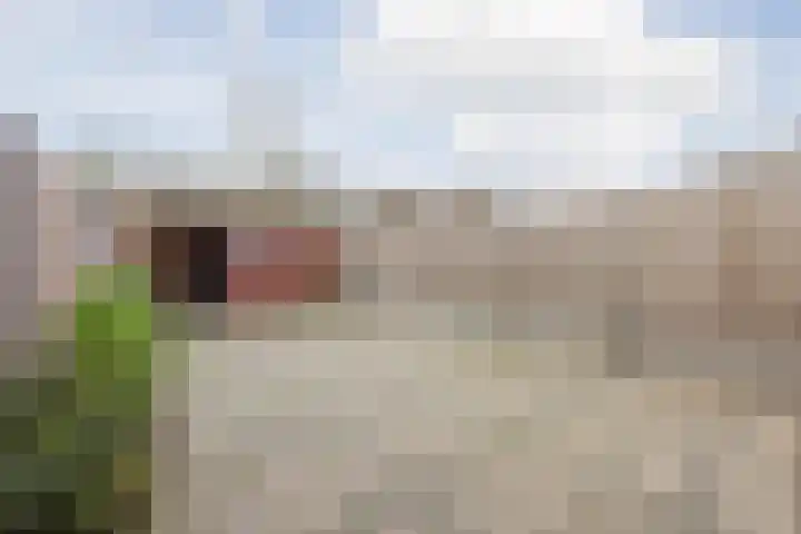 G. van Balenstraat 11 Raamsdonksveer thumbnail 33