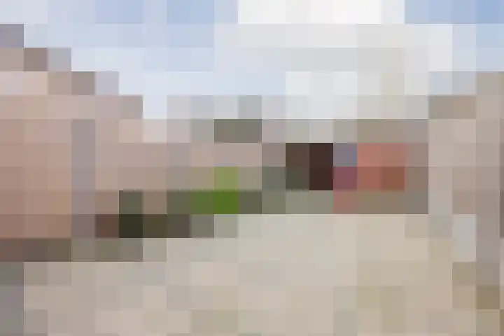 G. van Balenstraat 11 Raamsdonksveer thumbnail 34