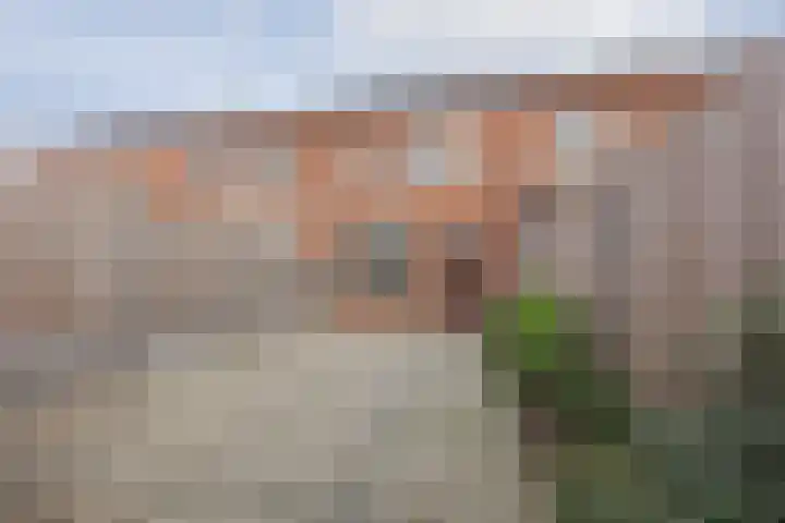 G. van Balenstraat 11 Raamsdonksveer thumbnail 36