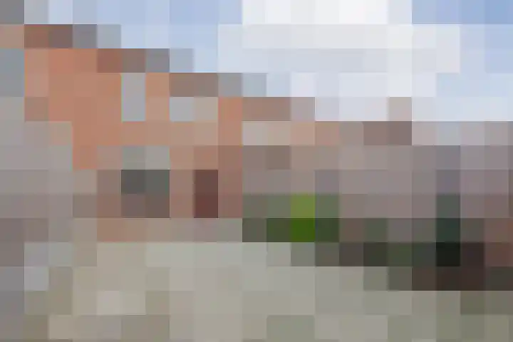 G. van Balenstraat 11 Raamsdonksveer thumbnail 37