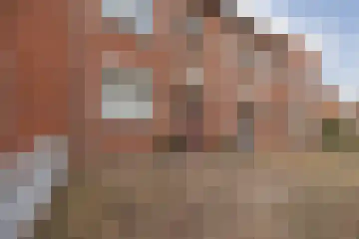 G. van Balenstraat 11 Raamsdonksveer thumbnail 5