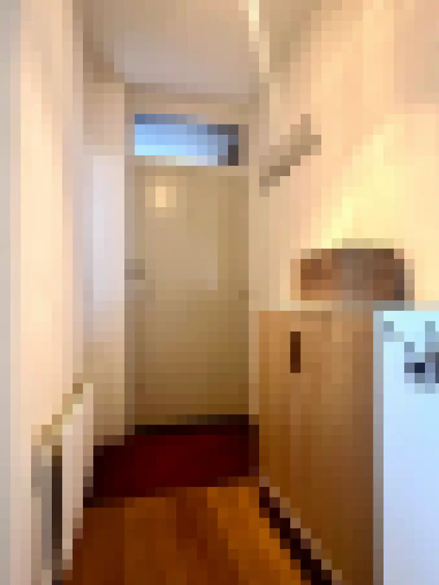 G van Damstraat 31 Montfoort thumbnail 17
