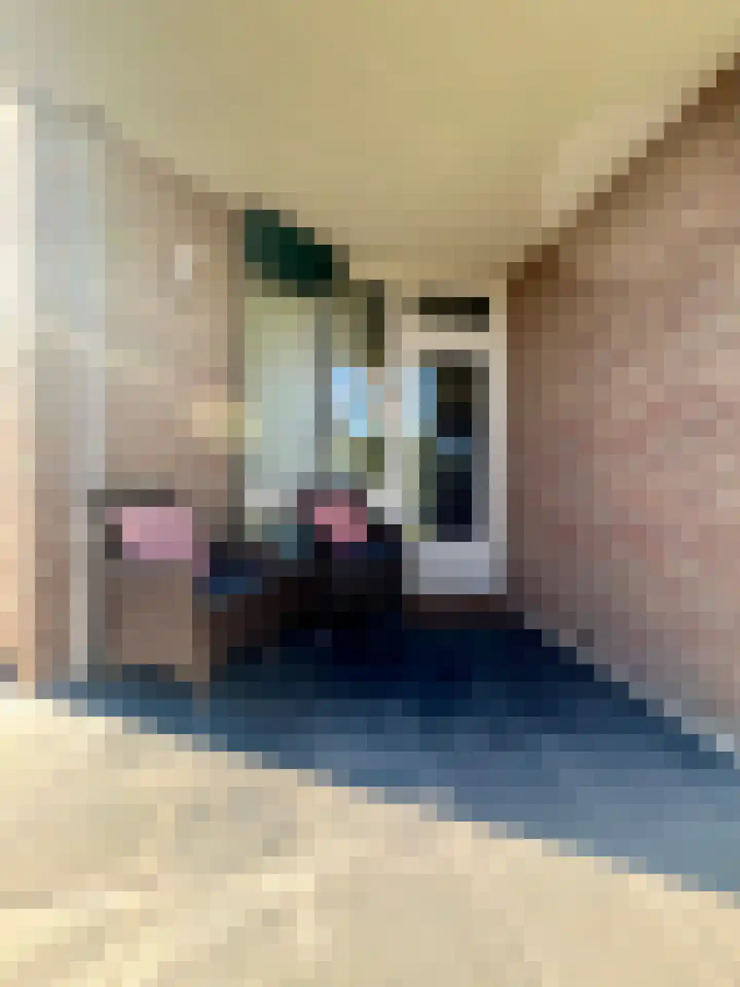 G van Damstraat 31 Montfoort thumbnail 20