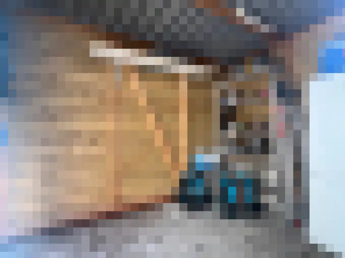 G van Damstraat 31 Montfoort thumbnail 24