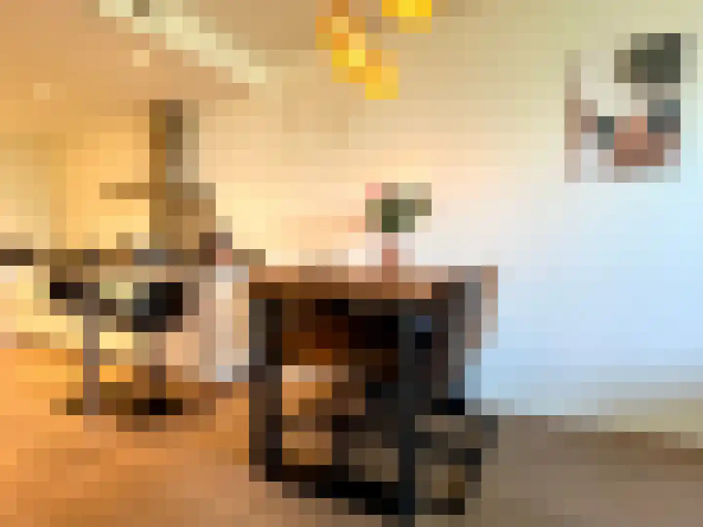 G van Damstraat 31 Montfoort thumbnail 4