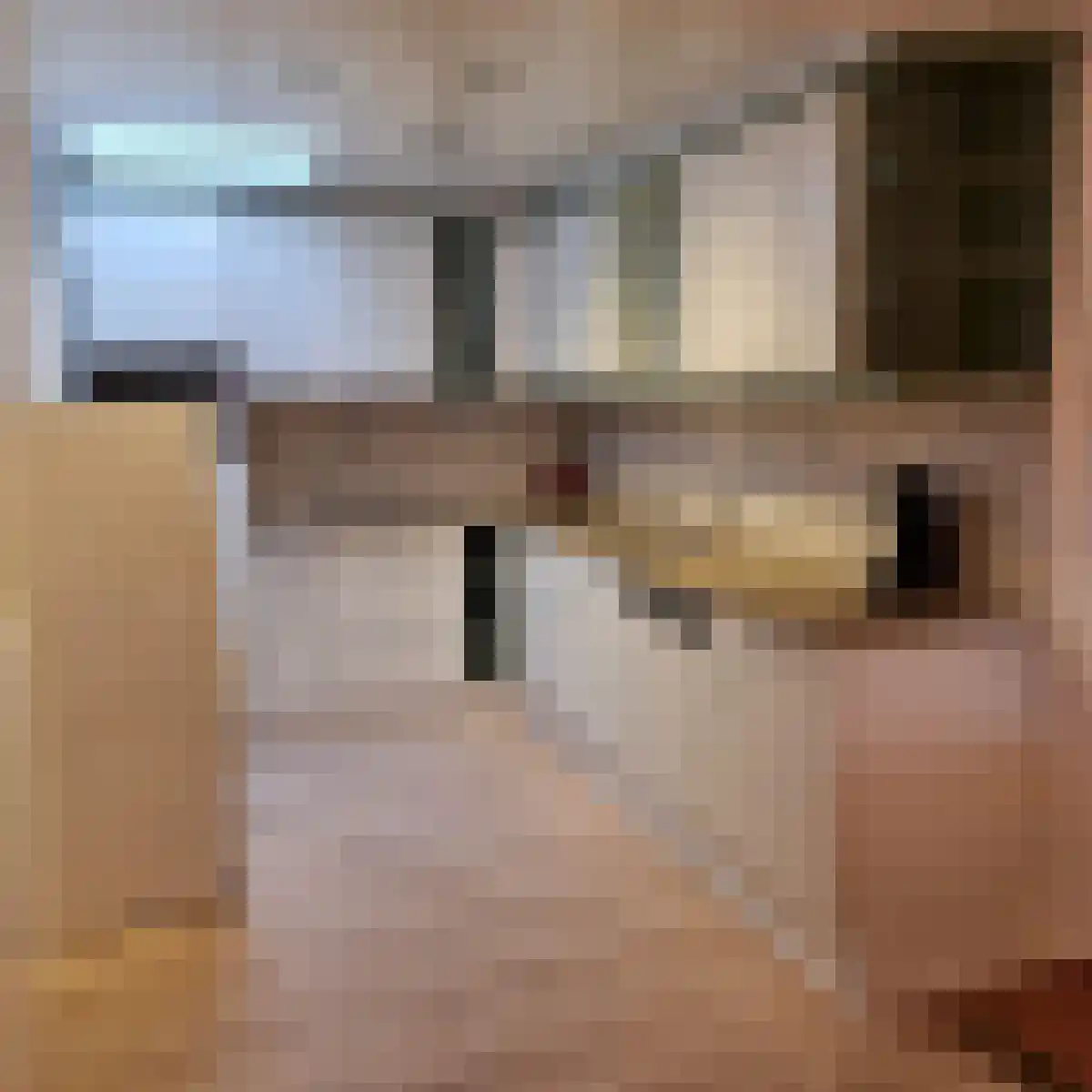G van Damstraat 53 Montfoort thumbnail 4