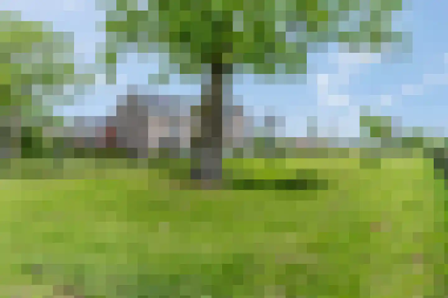 G. van den Bornstraat 2 Barneveld thumbnail 46