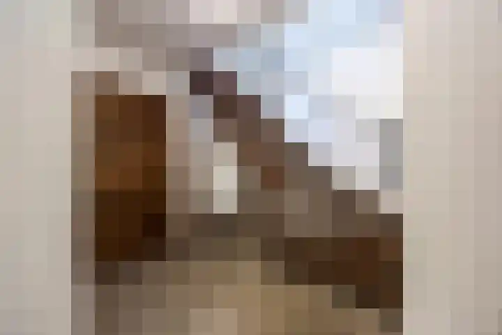 G.W. Lovendaalsingel 20 Grave thumbnail 13