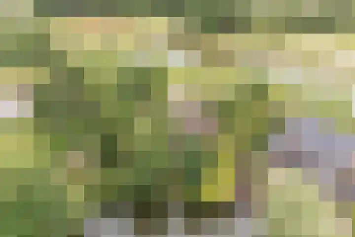G.W. Lovendaalsingel 20 Grave thumbnail 25