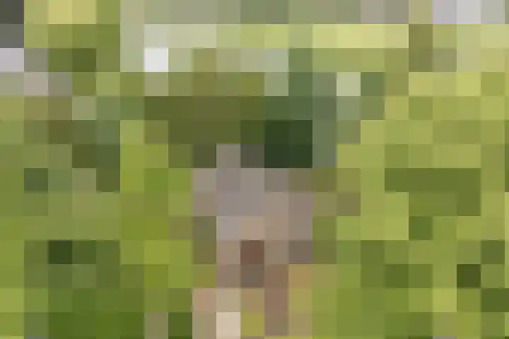 G.W. Lovendaalsingel 20 Grave thumbnail 26
