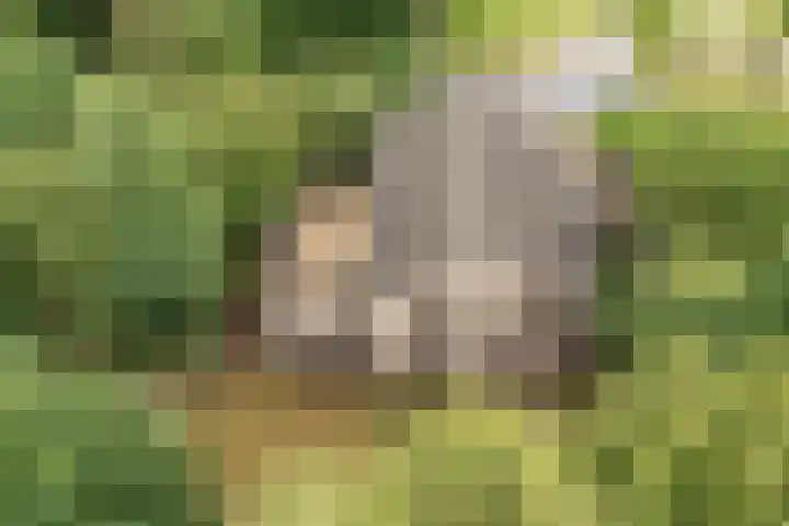 G.W. Lovendaalsingel 20 Grave thumbnail 27