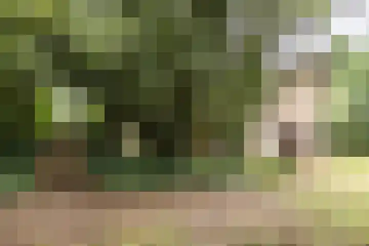 G.W. Lovendaalsingel 20 Grave thumbnail 28