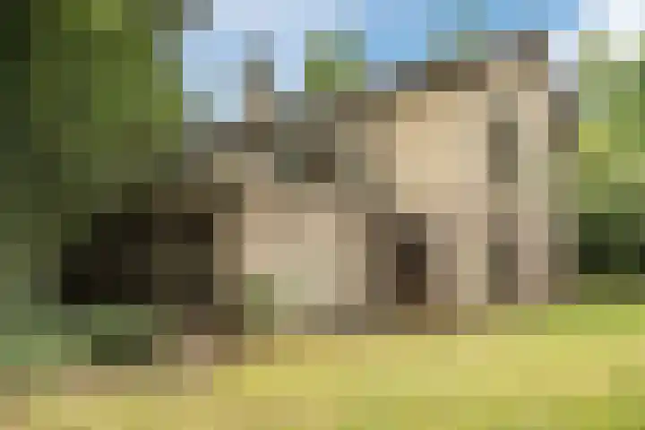 G.W. Lovendaalsingel 20 Grave thumbnail 29