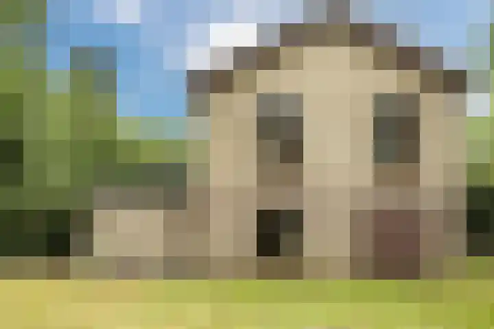 G.W. Lovendaalsingel 20 Grave thumbnail 30