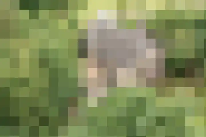 G.W. Lovendaalsingel 20 Grave thumbnail 31