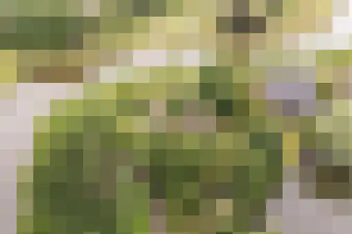 G.W. Lovendaalsingel 20 Grave thumbnail 32