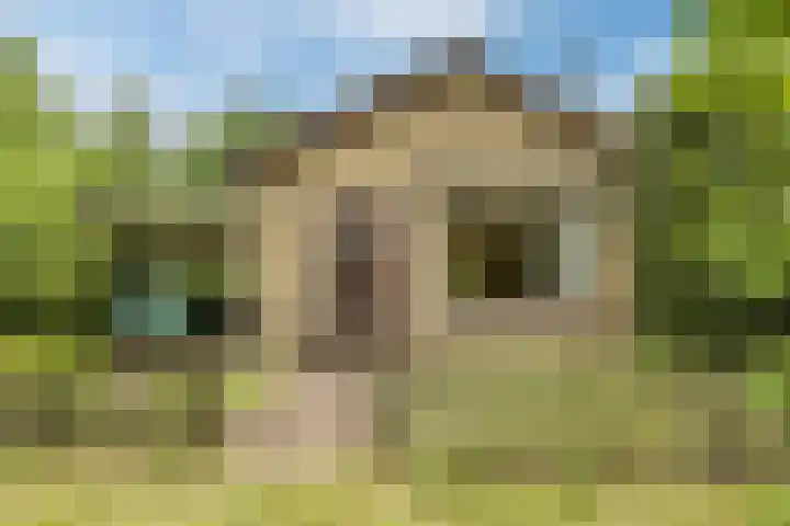 G.W. Lovendaalsingel 20 Grave thumbnail 33