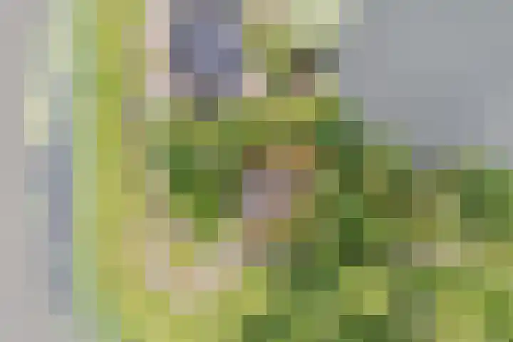 G.W. Lovendaalsingel 20 Grave thumbnail 34