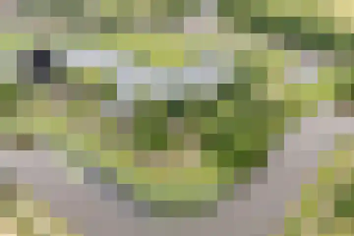 G.W. Lovendaalsingel 20 Grave thumbnail 35