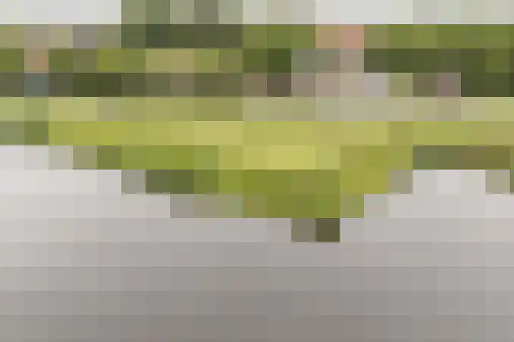 G.W. Lovendaalsingel 20 Grave thumbnail 36
