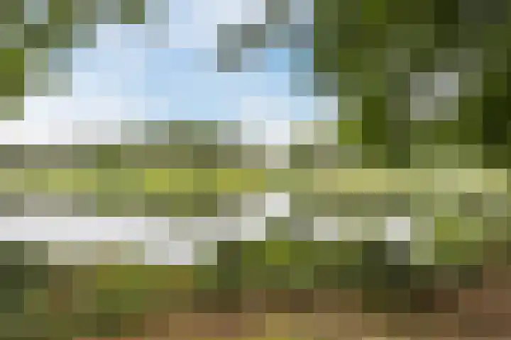 G.W. Lovendaalsingel 20 Grave thumbnail 37