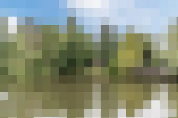G.W. Lovendaalsingel 20 Grave thumbnail 38