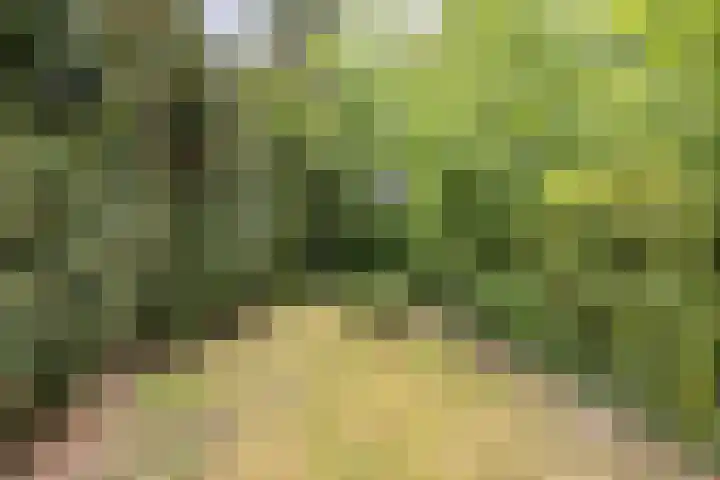G.W. Lovendaalsingel 20 Grave thumbnail 40
