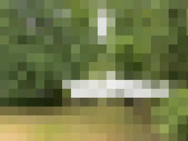 G.W. Lovendaalsingel 20 Grave thumbnail 41