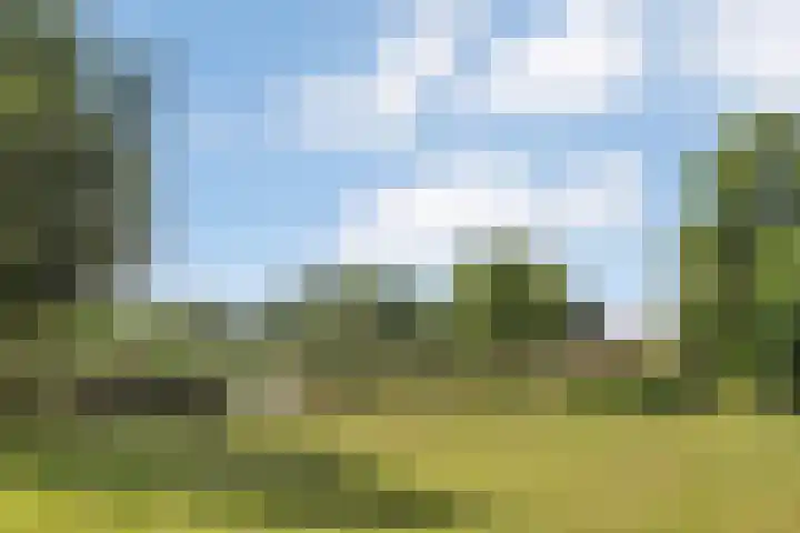 G.W. Lovendaalsingel 20 Grave thumbnail 43