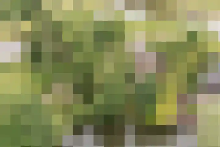 G.W. Lovendaalsingel 20 Grave thumbnail 53