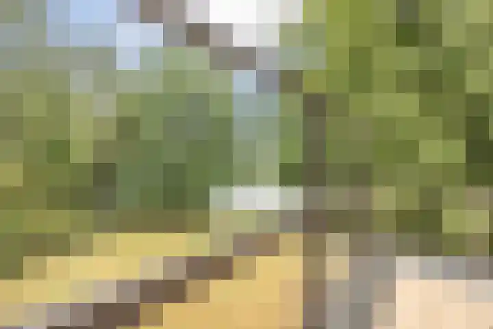 G.W. Lovendaalsingel 20 Grave thumbnail 7