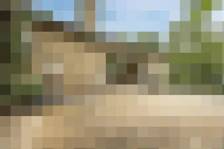 G.W. Lovendaalsingel 20 Grave thumbnail 8