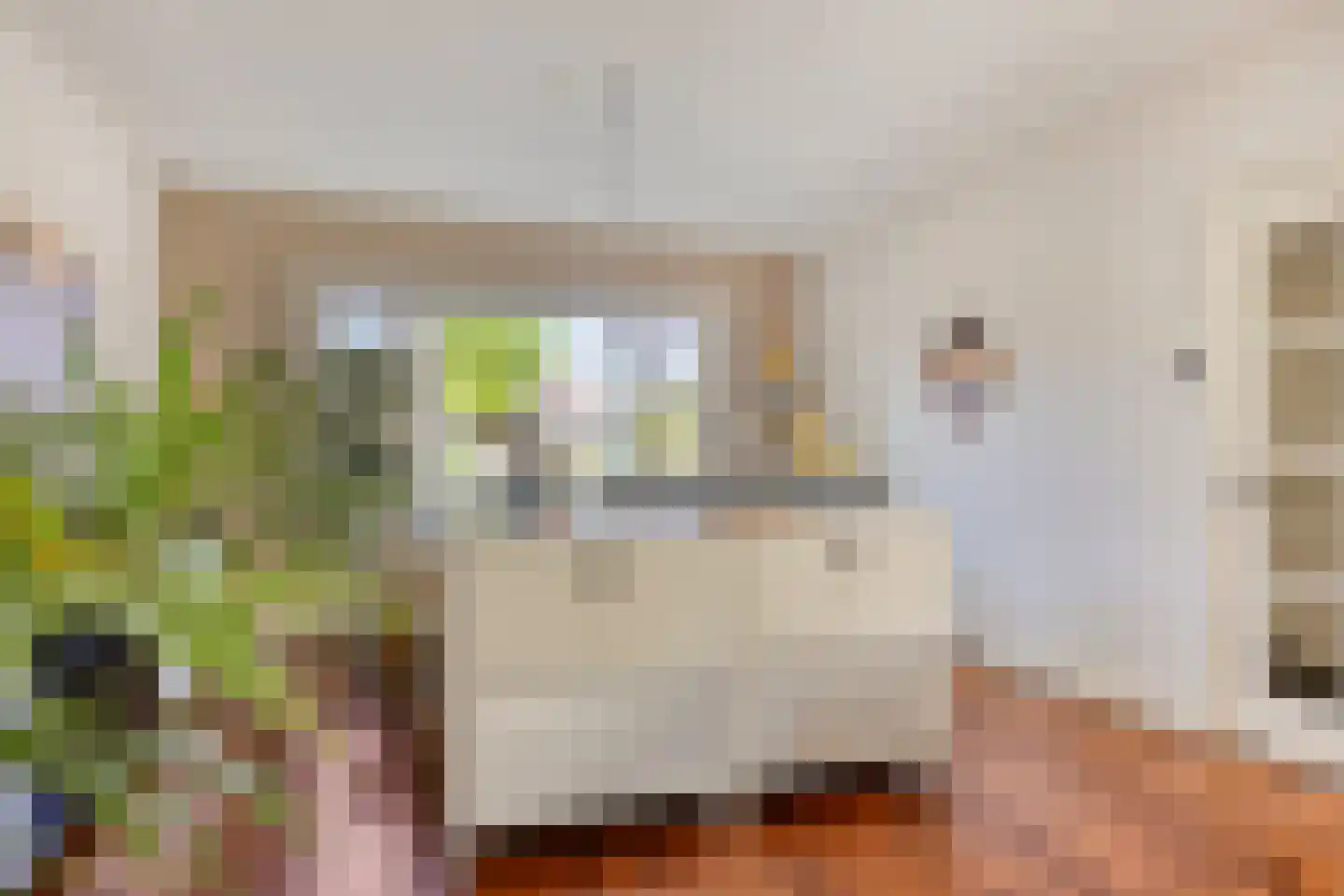 G.W. Lovendaalsingel 24 Grave thumbnail 14